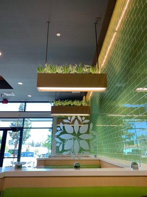 Tulsi Indian Eatery (Northridge) by null