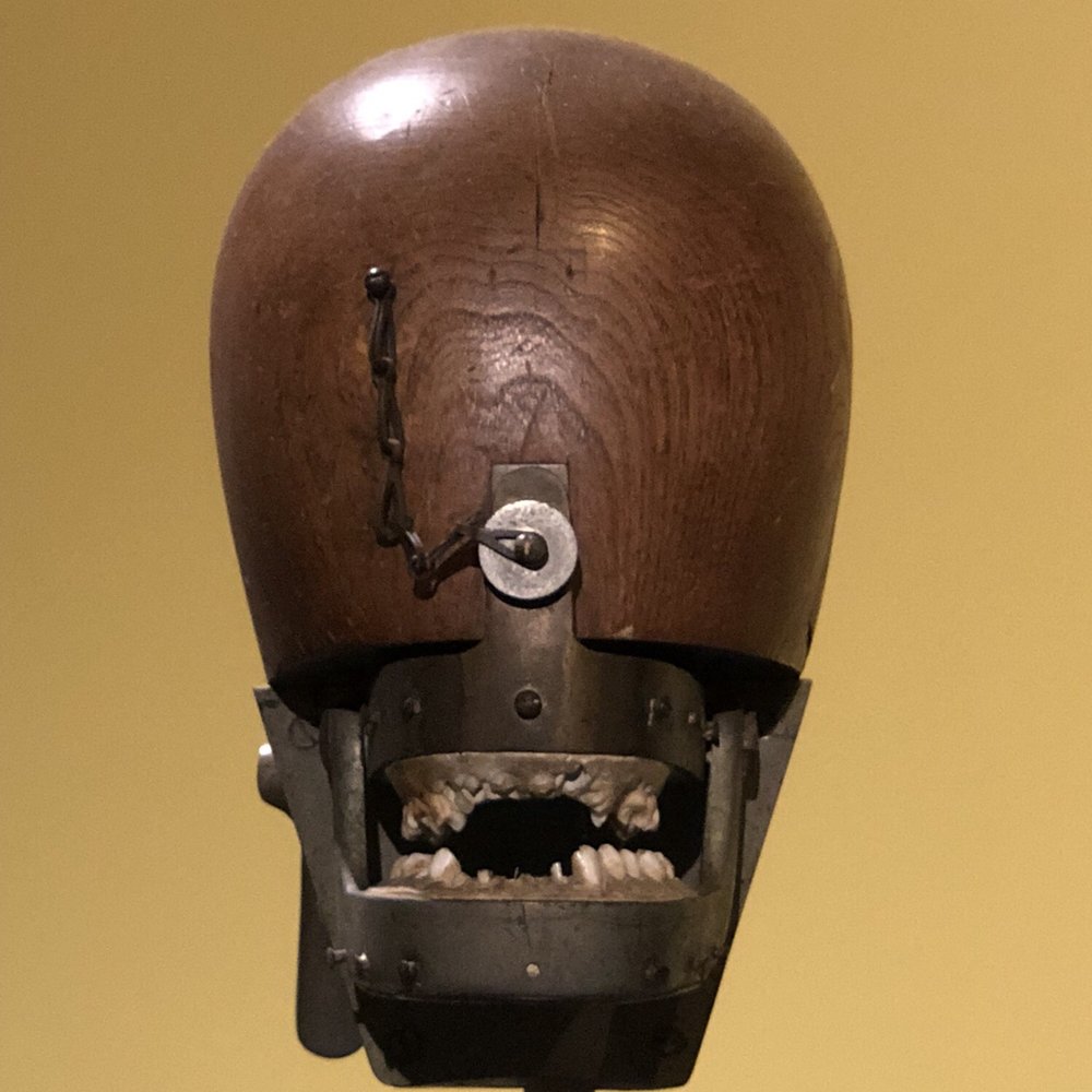 Wellcome Collection - Museums Near Me - London, XGL