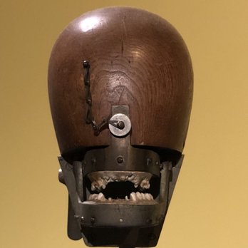 Wellcome Collection - Museums Near Me - London, XGL