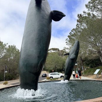 Birch Aquarium - Aquariums Near Me - La Jolla, California