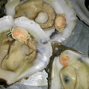 Wicker's Crab Pot - Steamed oysters with the rare delicacy of baby crabs - Seafood Near Me - Chesapeake, Virginia Wicker's Crab Pot - Steamed oysters with the rare delicacy of baby crabs - Seafood Near Me - Chesapeake, Virginia