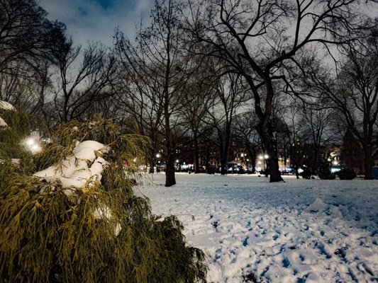 Tompkins Square Park by null