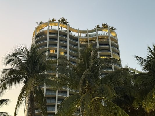 Coconut Grove by null