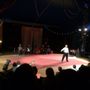 Photo of Cirque Romanès