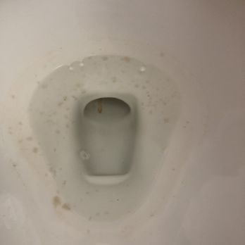 Sweetwater Homes - This is the condition of one of the toilets on the day of closing.  Notice the rusty imprint in the bottom from a dropped nail or screw. - General Contractors Near Me - Homosassa, Florida