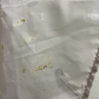 Motel 6 - Dried snot/boogers on shower curtain! - Hotels Near Me - Starke, Florida Motel 6 - Dried snot/boogers on shower curtain! - Hotels Near Me - Starke, Florida