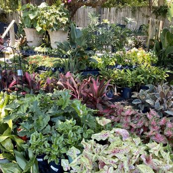 Palmer's Garden & Goods - Nurseries & Gardening Near Me - Orlando, Florida Palmer's Garden & Goods - Nurseries & Gardening Near Me - Orlando, Florida