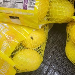 Dead fly in produce