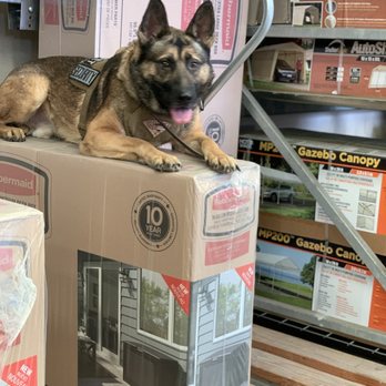 Accurate K9 Training - Field trip - Pet Training Near Me - Spokane Valley, Washington Accurate K9 Training - Field trip - Pet Training Near Me - Spokane Valley, Washington