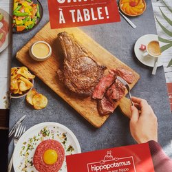 Hippopotamus