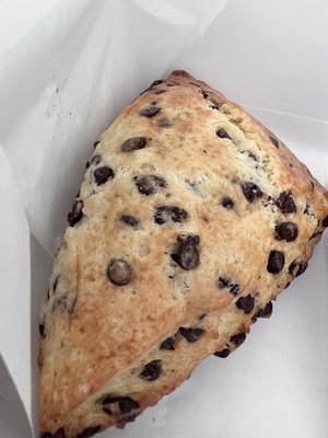 Debbie on the Levee by null