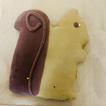 Leash and Collar - squirrel Cookie - Pet Stores Near Me - Sacramento, California Leash and Collar - squirrel Cookie - Pet Stores Near Me - Sacramento, California