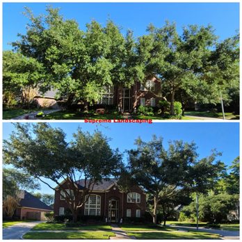 Supreme Landscaping - The sun feeds your yards but if sun light cant get to it, then we start loosing the green grass. - Landscaping Near Me