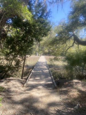 Edisto Beach State Park by null