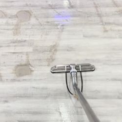 Orlando Carpet Cleaning Company - LVP Cleaning Orlando FL