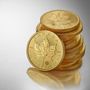 Photo of Border Gold Corp.