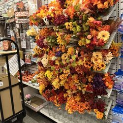 Dollar Tree - Flowers