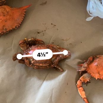 Don's Crabs - Rotten corn and small crabs - Seafood Near Me - Parkville, Maryland