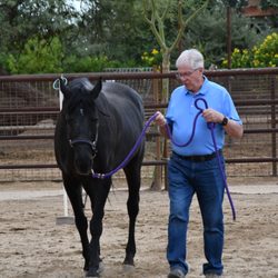 Silver Lining Riding - Volunteer Training