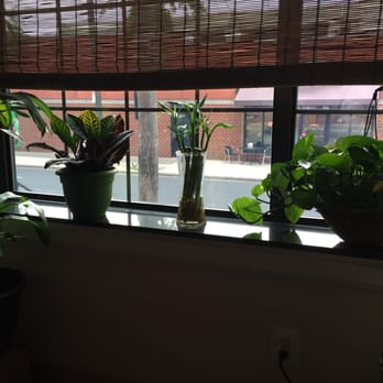 Adrian King Massage Arts - The beautiful and serene new Space is the best ever!!!! - Yoga Near Me - Philadelphia, Pennsylvania Adrian King Massage Arts - The beautiful and serene new Space is the best ever!!!! - Yoga Near Me - Philadelphia, Pennsylvania