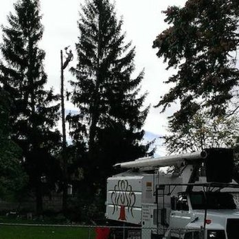 Tree Guy - Tree Cutting - Tree Services Near Me - Kennewick, Washington Tree Guy - Tree Cutting - Tree Services Near Me - Kennewick, Washington