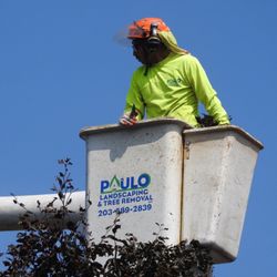 Paulo Landscaping & Tree Removal