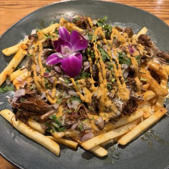 Anejo Cocina Winter Park - Birria Fries - New Mexican Cuisine Near Me - Winter Park, Florida