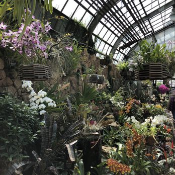 Lincoln Park Conservatory - Parks Near Me - Chicago, Illinois Lincoln Park Conservatory - Parks Near Me - Chicago, Illinois