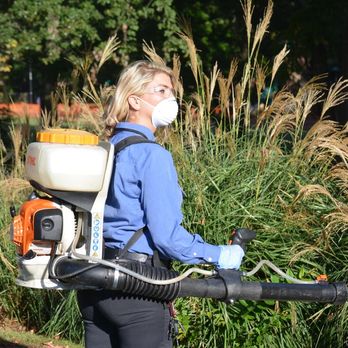 Active Pest Control - Pest Control Near Me - Marietta, Georgia
