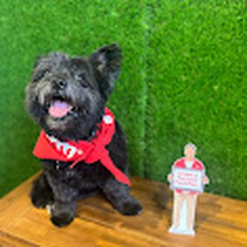 John Cole - State Farm Insurance Agent - Insurance Near Me - Pendleton, Indiana John Cole - State Farm Insurance Agent - Insurance Near Me - Pendleton, Indiana