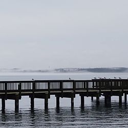 Solomons Island