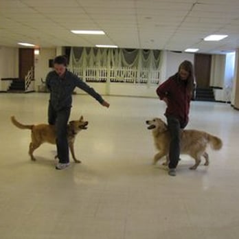 Canis Sapiens Dog Training - Canine freestyle class- learn to dance with your dog. This class meets on Thursdays at 5pm. - Pet Training Near Me - Chicago, Illinois Canis Sapiens Dog Training - Canine freestyle class- learn to dance with your dog. This class meets on Thursdays at 5pm. - Pet Training Near Me - Chicago, Illinois