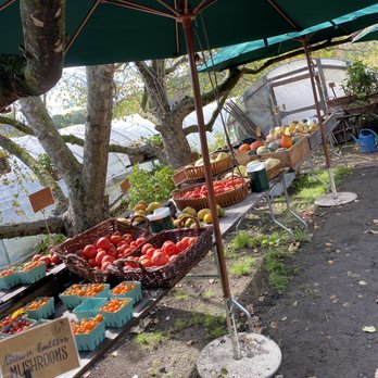 Blooming Hill Farm - Farmers Market Near Me - Monroe, New York Blooming Hill Farm - Farmers Market Near Me - Monroe, New York
