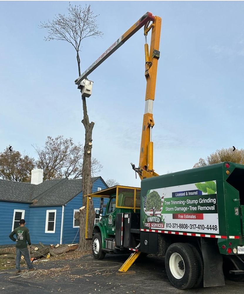 United Tree Services - tree service in Indianapolis, IN
