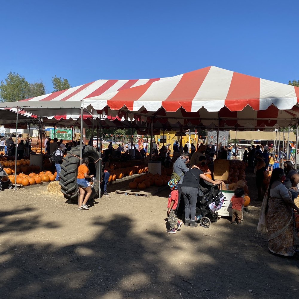 Tapia Bros Farm - Fruits & Veggies Near Me - Encino, California