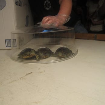Big Joe's - On your mark! - Bars Near Me - Chicago, Illinois
