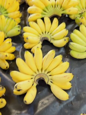 Rusty's Markets by null