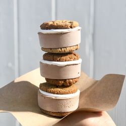 Super Secret Ice Cream