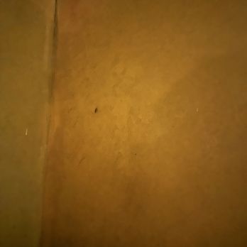 Kokomo - Roach! - Caribbean Near Me - Brooklyn, New York