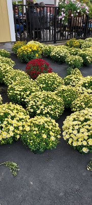 DuBois Farms by null