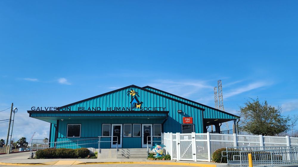 GALVESTON ISLAND HUMANE SOCIETY Updated September 2024 20 Photos