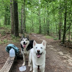 Honeygo Run Regional Park - They loved it