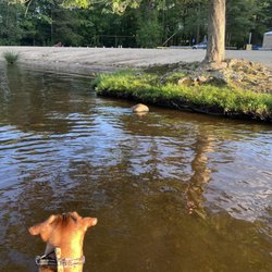 Briar Point Beach - LuLu sees a new friend in the distance