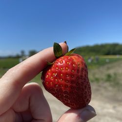 Henley Farms