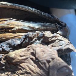 Tobacco Hut Vape - Mold
