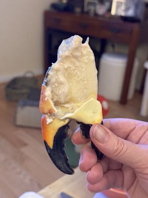 George Stone Crab by null