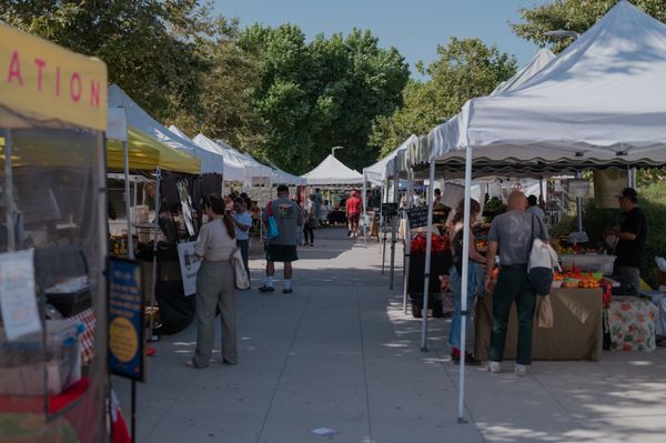LA Rivers Farmers' Market by null