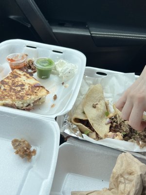 Have a taco by null