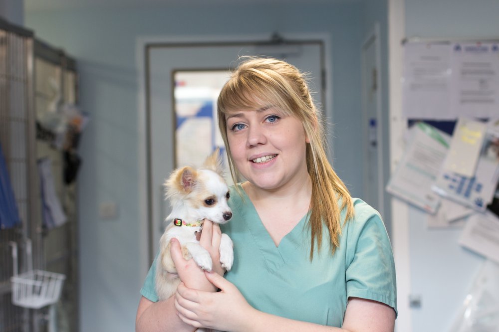 CASTLE VETS PET HEALTHCARE CENTRE Updated August 2024 25 Photos 1