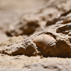 New Mexico Jeep Tours
